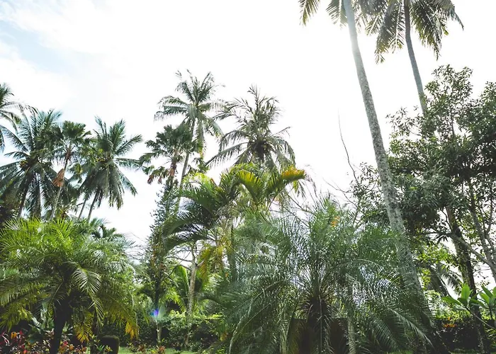 4 Bedroom Luxury Villa With Large Pool Near Balian Beach Balian