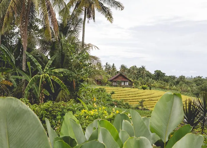 4 Bedroom Luxury Villa With Large Pool Near Balian Beach Villa